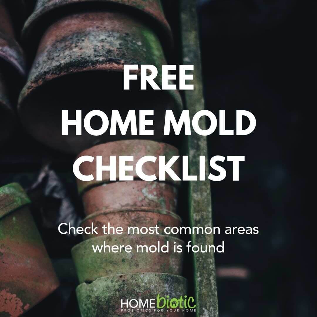 Free home mold checklist